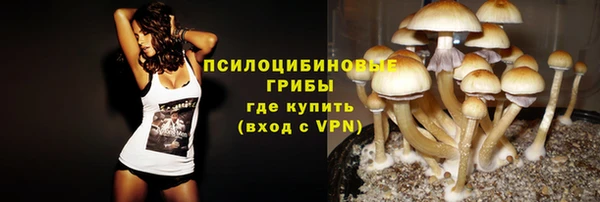 синтетический гашиш Алексеевка