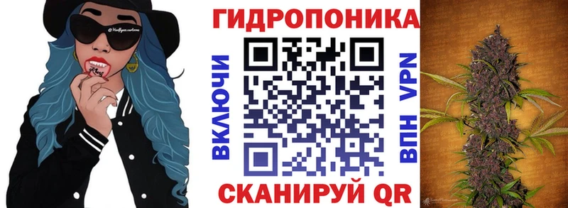 где купить   Катав-Ивановск  Каннабис конопля 